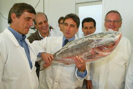 O governador Germano Rigotto segurando um peixe em visita a um frigorífico. Autor: Nabor Goulart